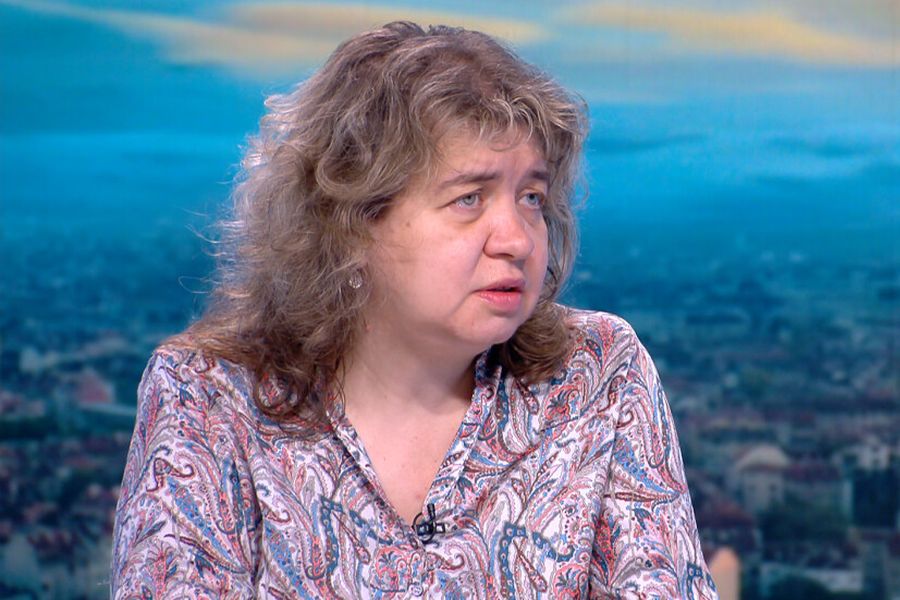 Доц. Киселова: До избора на председател на НС Николай Марков не може да се закълне, а Христо Иванов - да се оттегли